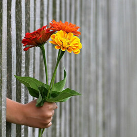 Blumenstrauß