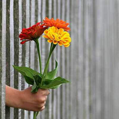 Blumenstrauß