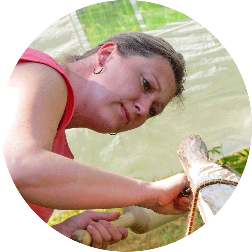 Foto unseres Dozenten / unserer Dozentin